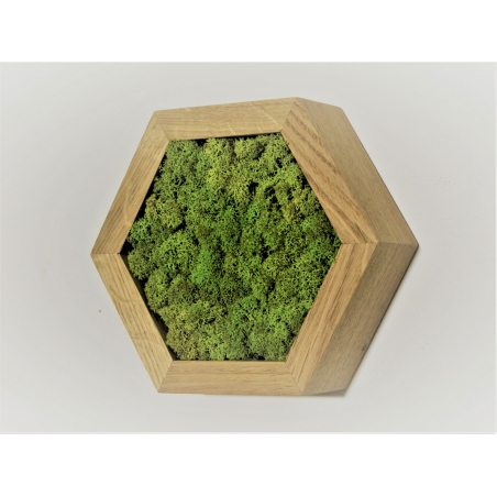 Machový 6-uholník z masívneho dubu