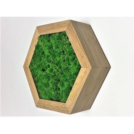 Machový 6-uholník z masívneho dubu