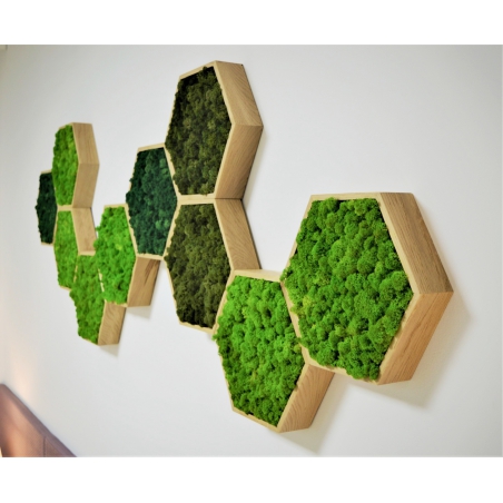 Machový 6-uholník z masívneho dubu