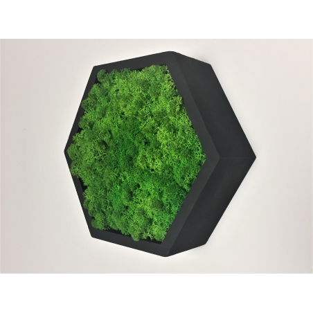 Machový 6-uholník z masívneho dubu