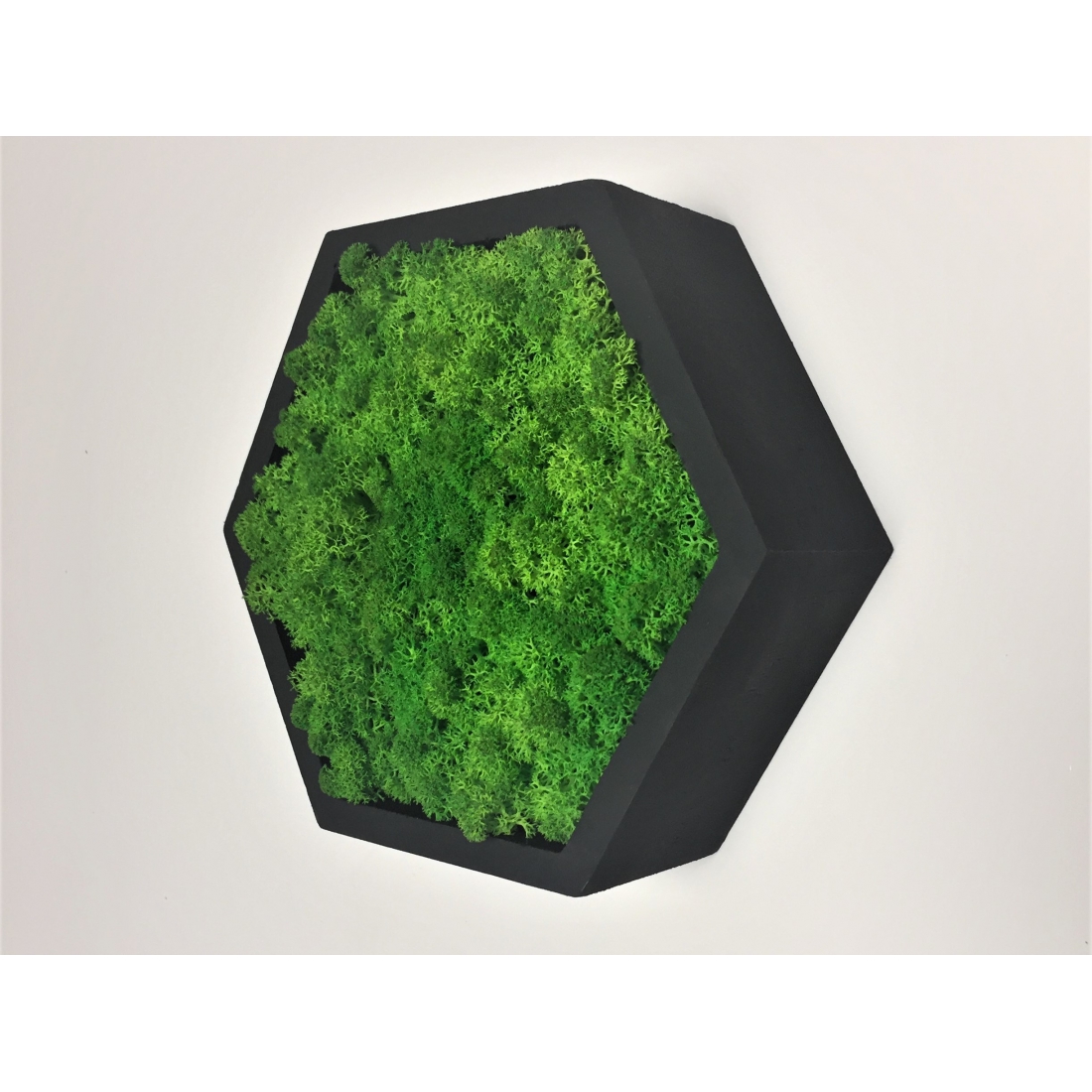 Machový 6-uholník z masívneho dubu