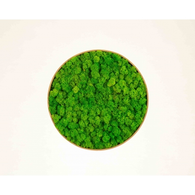 Mechový obraz s rámem v dubové dýze