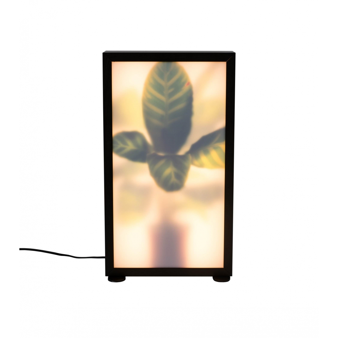 ZUIVER GROW podlahová lampa