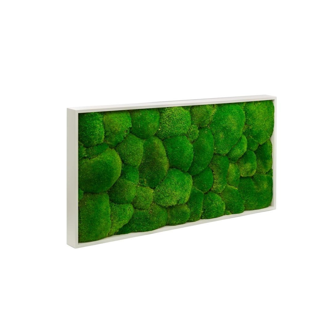 BOLMOSS mechový obraz 2