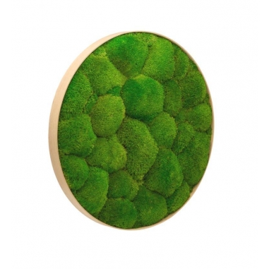 BOLMOSS mechový kruh