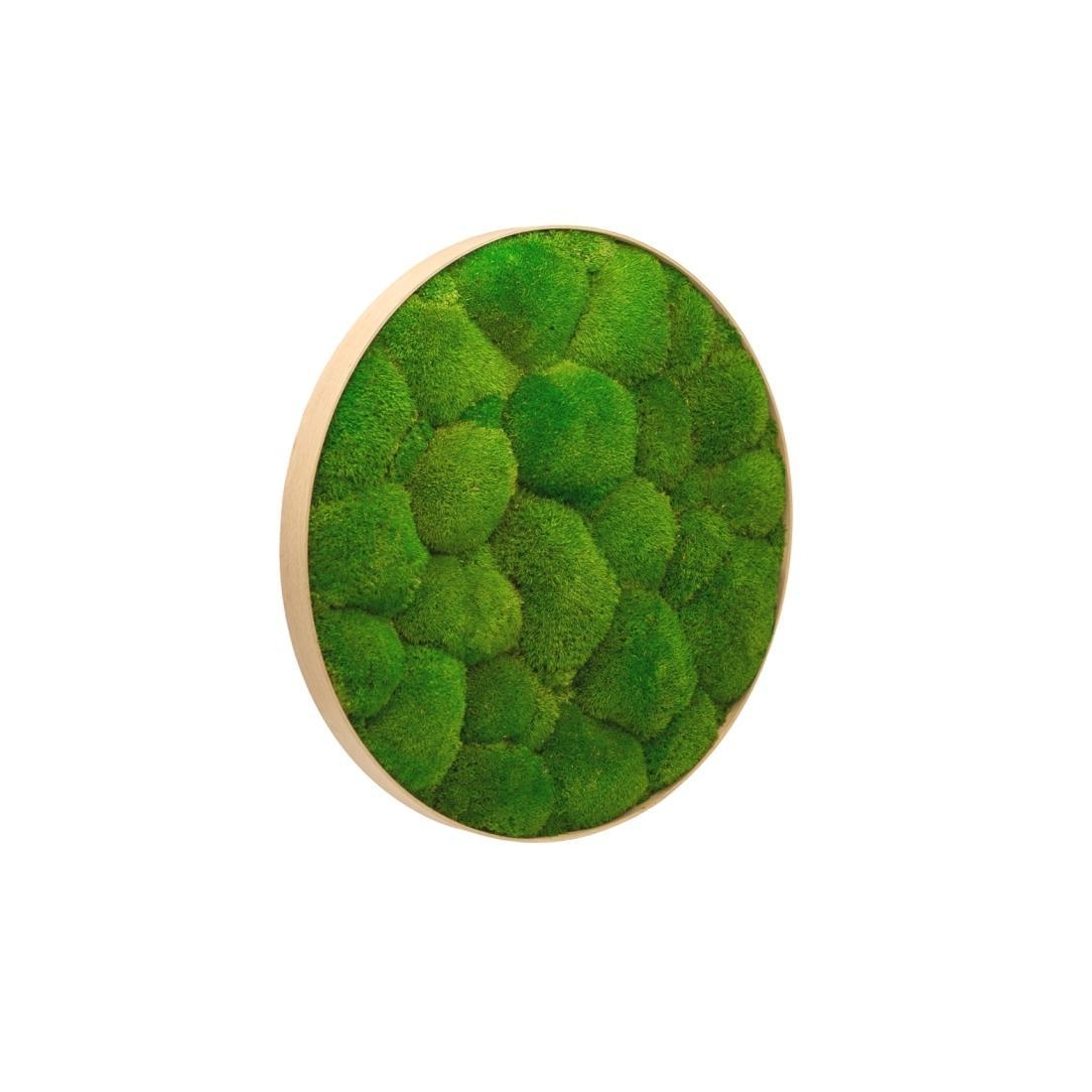 BOLMOSS mechový kruh