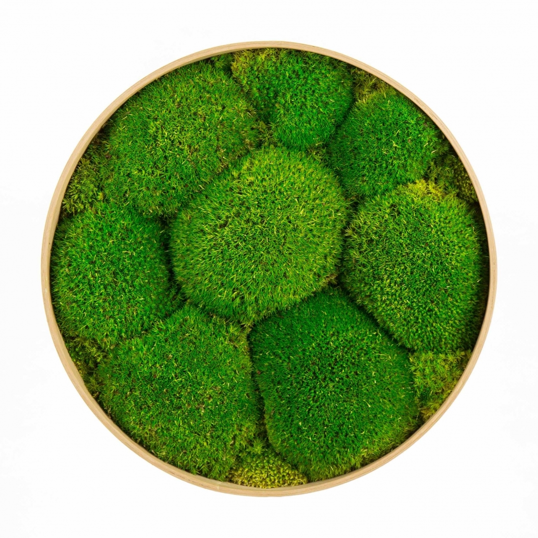 BOLMOSS mechový kruh 2