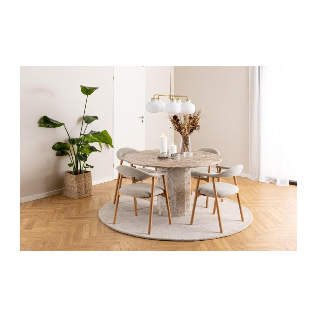 SADDIA MONZA jídelní židle 2